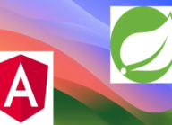 Full khóa học “Viết ứng dụng bán hàng với Java Springboot/API và Angular – Udemy”