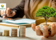 Full khóa học “Thị trường carbon – Những điều doanh nghiệp cần biết – Udemy”